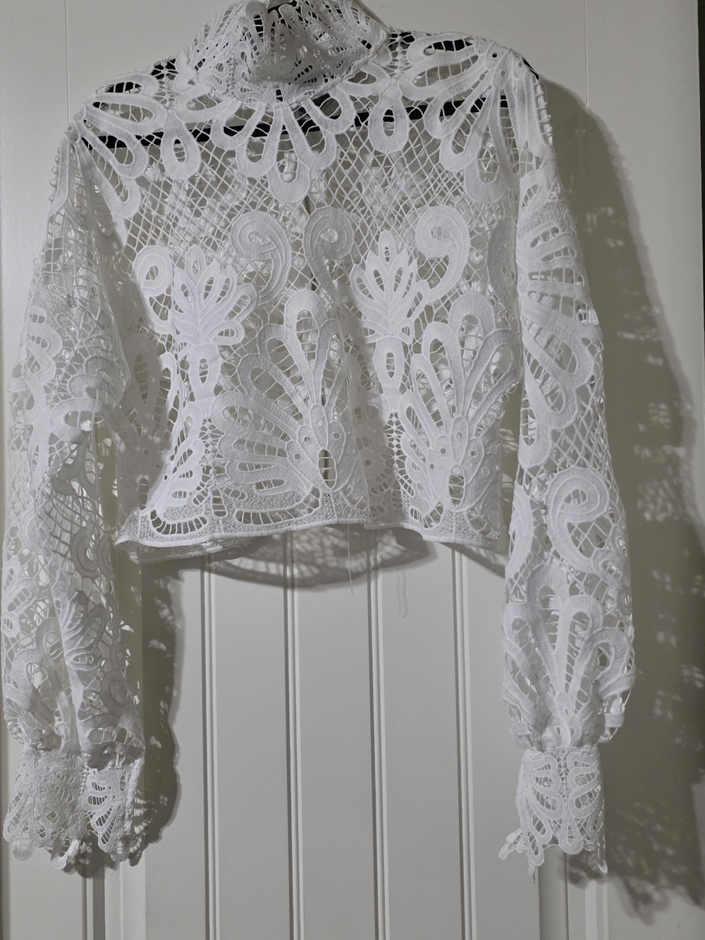 Women's White Lace Long-Sleeve Crop Top